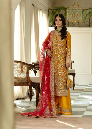 Hussain Rehar || Raw Silk Fabric || Wedding Dress