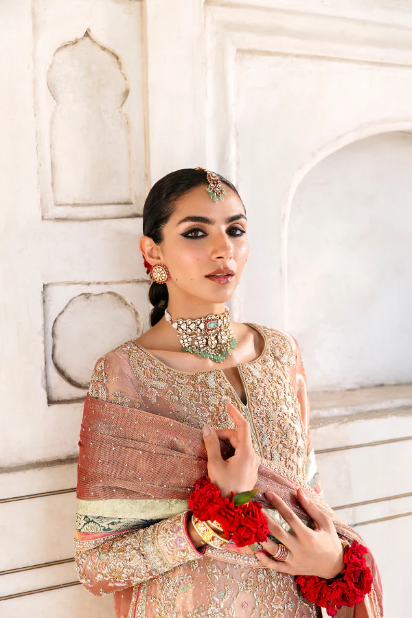 Farah & Fatima ||Shesha Silk Fabric ||  Wedding Dress